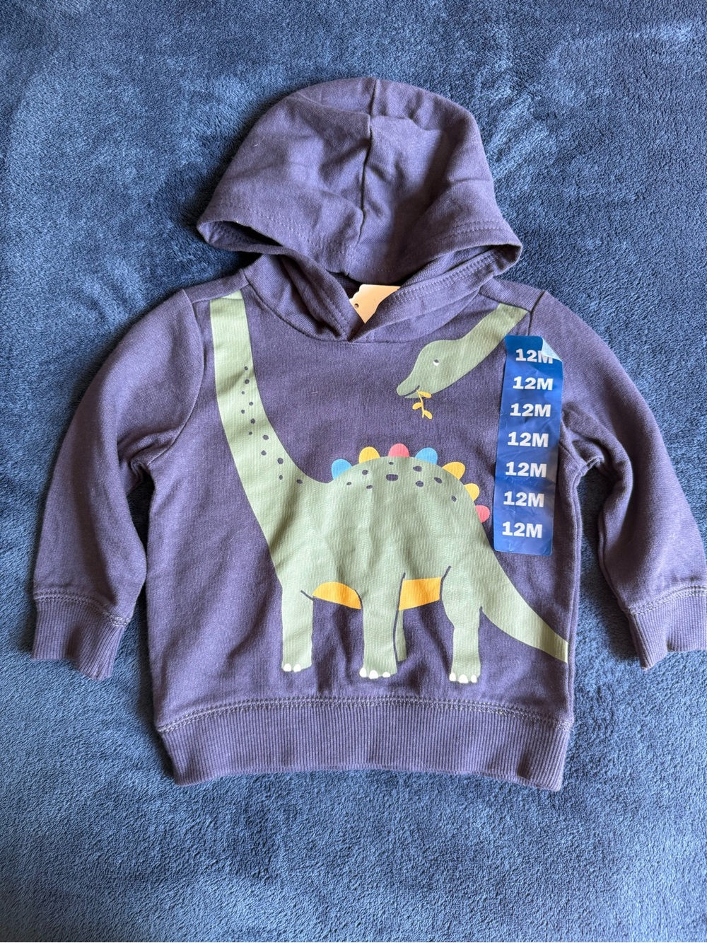 Carter's Purple Hoodie with Green Dinosaur Graphic